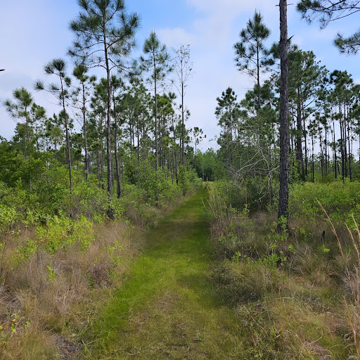 Yellow River Marsh Preserve State Park - Thumbnail