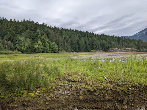 Sechelt Inlets Marine Provincial Park - Piper Point Site - Thumbnail