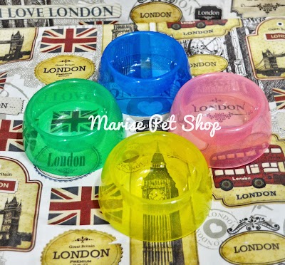 Photos of marise hammy petshop