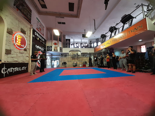 camelot gym