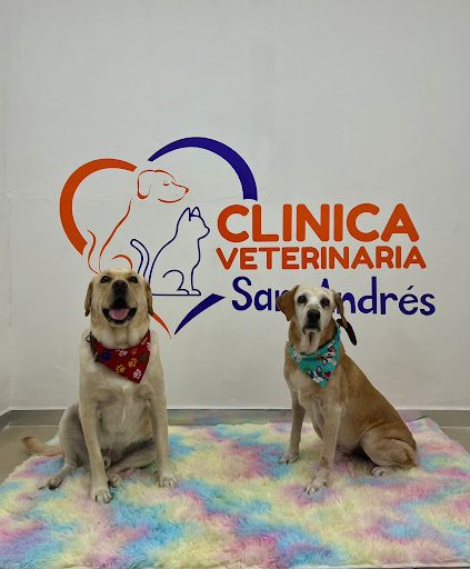 Clinica Veterinaria San Andrés