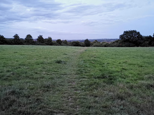 Linder's Field Local Nature Reserve