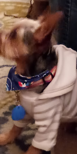 Pup Kuttz - Thumbnail