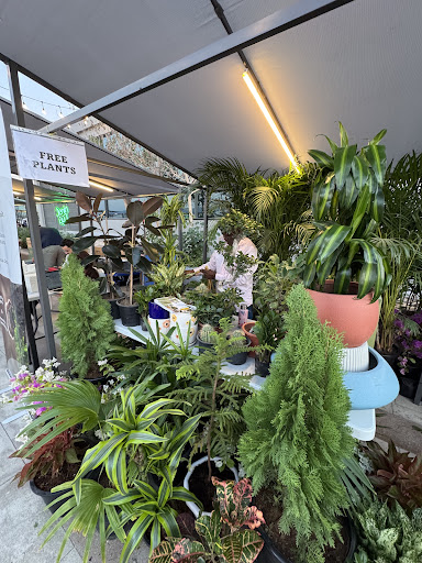 Gallery image 4
