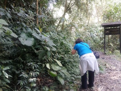 Photos of Campamento San Rafael Coca Codo Sinclair