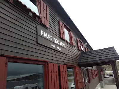 Photos of Halne Fjellstova