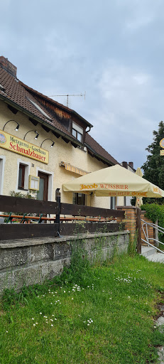 Manfred Schmalzbauer - Visual