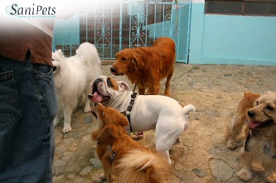 Photos of Sanipets Veterinary Clinic