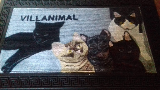 La Compañia Perruna - Visual