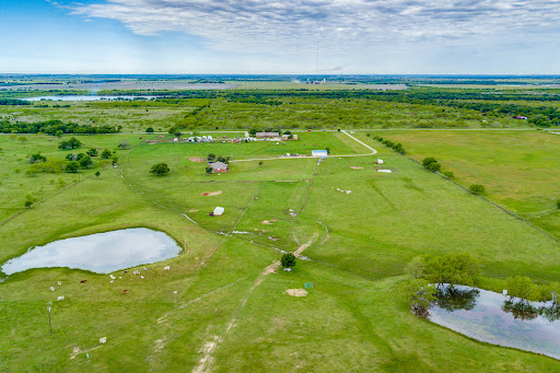 WhiteFlameRealty - Visual