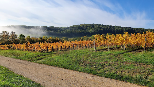 Domaine Oury-Schreiber by null
