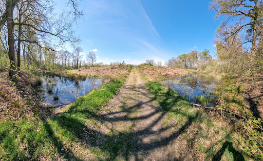 Hunenborg - Thumbnail