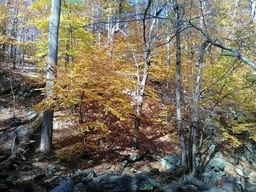 Softball Field - Mine Hill - Thumbnail