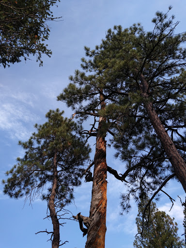 Sunset Point Trailhead - Visual