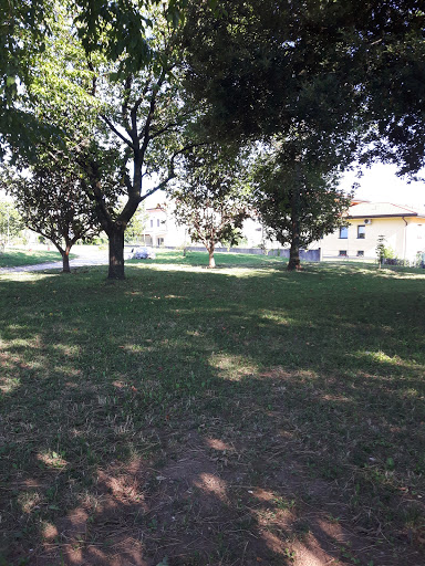 Parco Mulino dei Palma Gallery - Italy