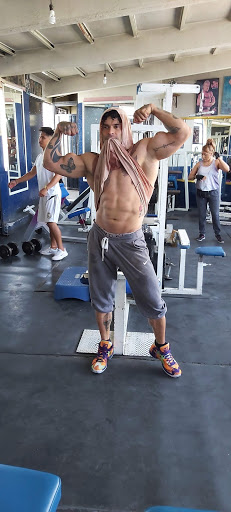 Pit bull Gym - Thumbnail
