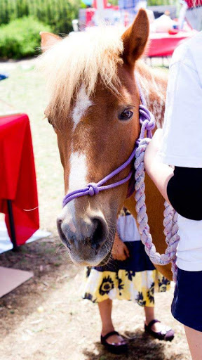 Colourful Capers Face Painting And Pony Hire - Thumbnail