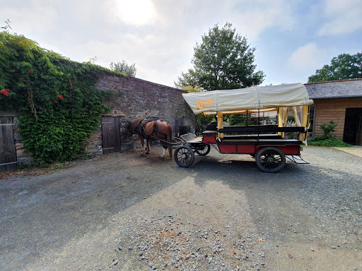 Les Roseaux de Callac - Location de Gîtes Gallery - France