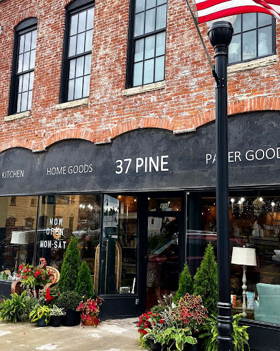 37 Pine - Visual