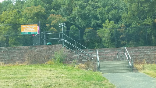 Glenside Field - Thumbnail