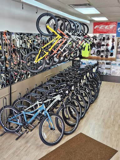 Dapper Bicycle - Visual