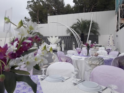 Photos of hotel al reef