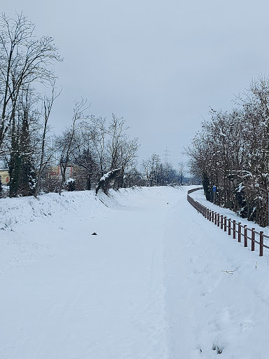 Corridoio ecologico del Canale Villoresi - Thumbnail