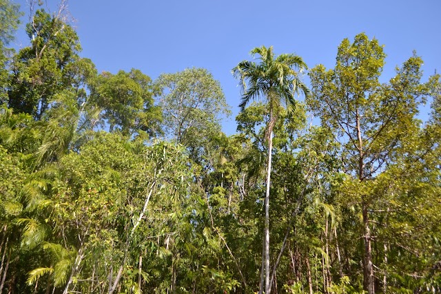 Wangi Falls