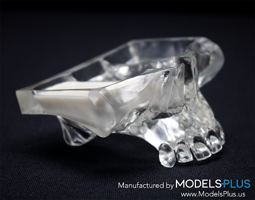 Models Plus, LLC - Visual
