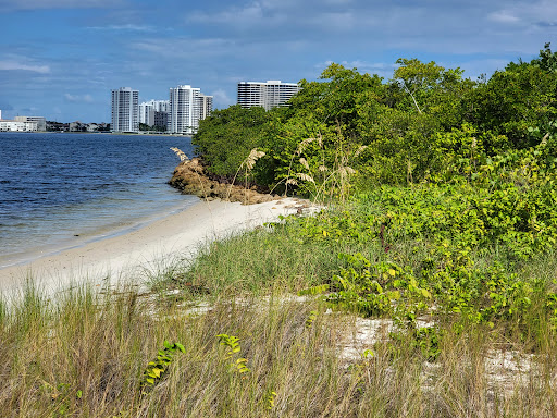 Munyon Island Mangrove Trail