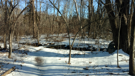 Juniper Hill - Visual