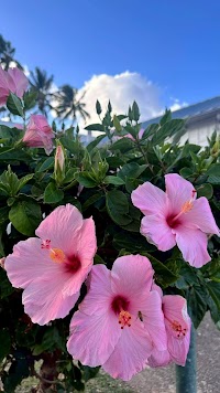 薩摩川内スナック いろは