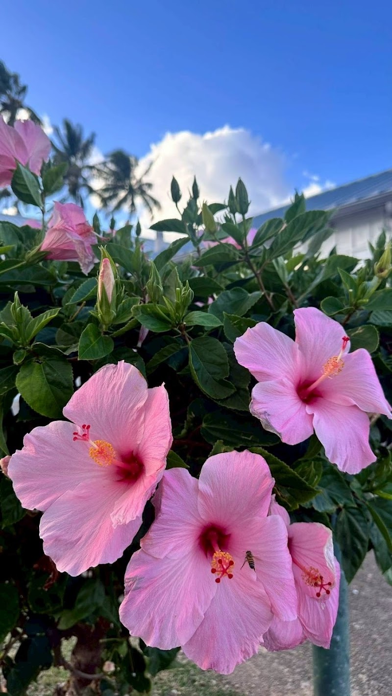 薩摩川内スナック いろは