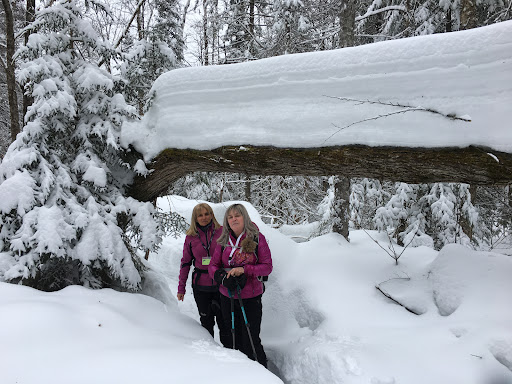 Club de ski de fond de labelle - Thumbnail