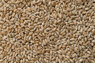 Photo n°6 de S.O.T.O. à Onet-le-Château (Société de transport routier)