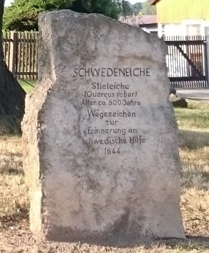 Schwedeneiche - Visual