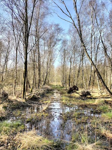 Parkeerplaats Neterselsche Heide - Thumbnail