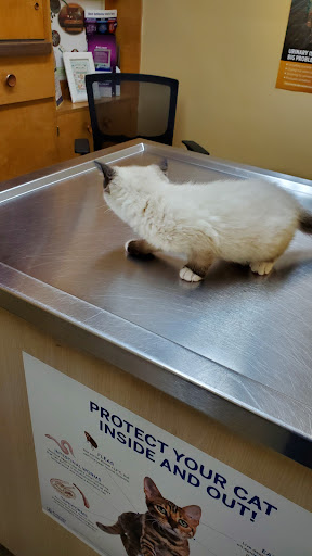 Orono Veterinary Hospital - Thumbnail