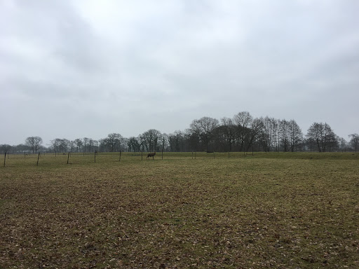 Herterij Twente - Thumbnail