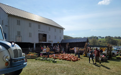 Algonquin Mill - Visual