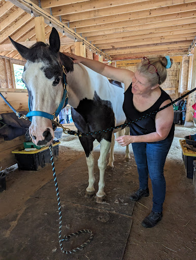 Soaring Horse Holistic Equine Therapy - Thumbnail