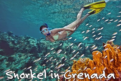 Photos of Snorkel in Grenada