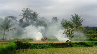 Photos of Tereng Wilis Eco Tourism Village