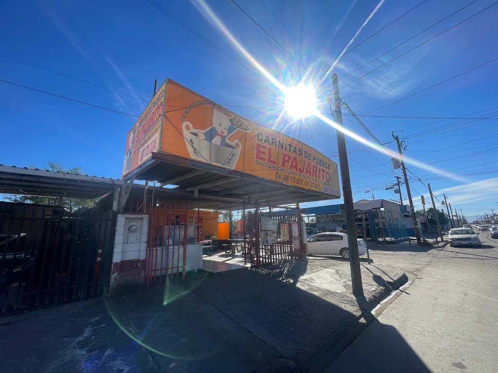 Tacos Alex - San Marcos