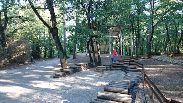 Grotte de Lascaux II