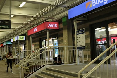 Avis Car Rental