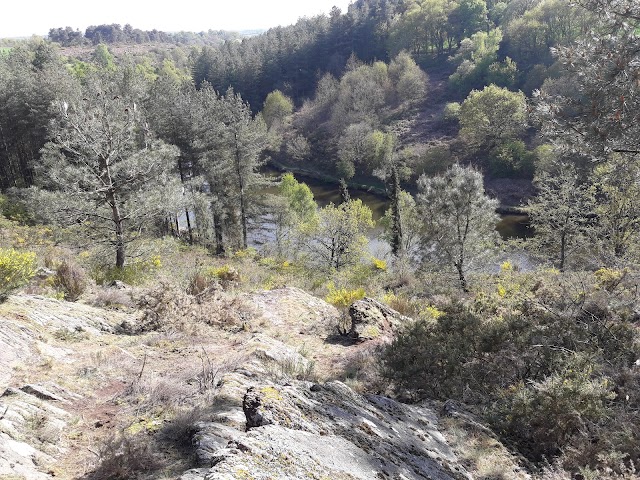 La Chambre Au Loup