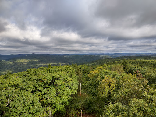 Shelburne Firetower Trailhead - Thumbnail