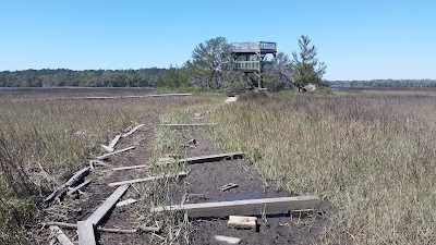 Photos of Skidaway Island State Park