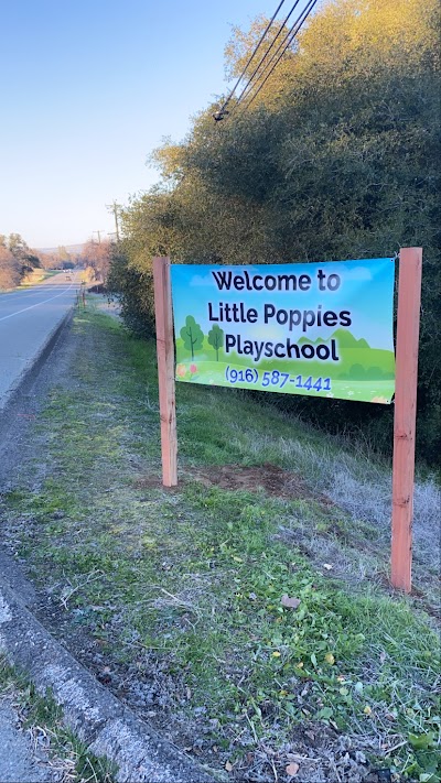 Little Poppies Play School